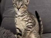 535483974_24614380191526336_5814094508942758671_n