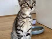 535894568_24614380194859669_2772266202111450527_n