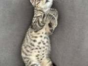 535897885_24614381131526242_4513695645348187645_n