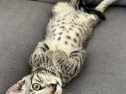 537098504_24614379931526362_8377501642865821293_n