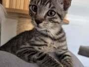 537147792_24614380374859651_5542965230878216011_n