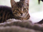 517939328_10235160243244830_5190036012750207193_n