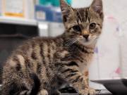 518181125_24501849896089803_6712409947313166341_n