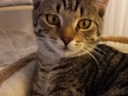 588435768_25739960895612024_7266095948906444806_n