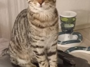 588623570_25740016642273116_3355042930083534954_n