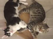 589516214_25739957398945707_926368923672043277_n