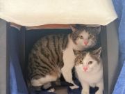 483939779_29873926075539465_6822162560636528332_n