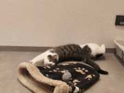 486091430_30204919765773426_2665498284716598319_n