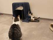 487079773_30204920392440030_7949065063558327993_n