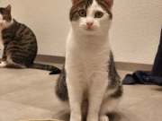 487442349_30204921139106622_9095048413279696084_n