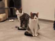 489512344_30204920669106669_6091884934169185992_n