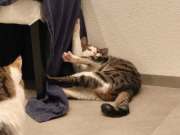 489806794_30204920172440052_5070252710564316948_n