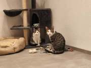 490343522_30204919412440128_5856026022892271649_n