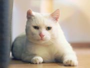 577124618_10236592563251935_7266930646679973075_n