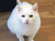 577799578_10236592561971903_3310518314108019874_n