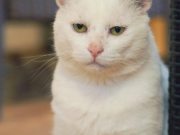 577832191_10236592563971953_3871640160093148256_n