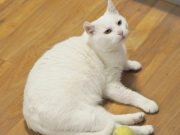 577910583_10236592563771948_7764243346298192252_n