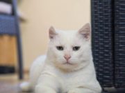 578553060_10236592563651945_6755115494875289182_n