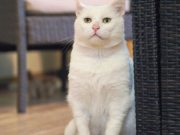 578803790_10236592562211909_5486593623238641513_n